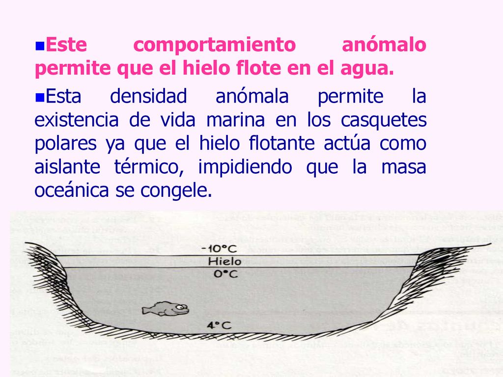 Este comportamiento anómalo permite que el hielo flote en el agua.