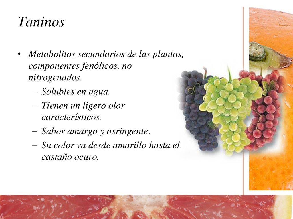 Taninos Metabolitos secundarios de las plantas, componentes fenólicos, no nitrogenados. Solubles en agua.