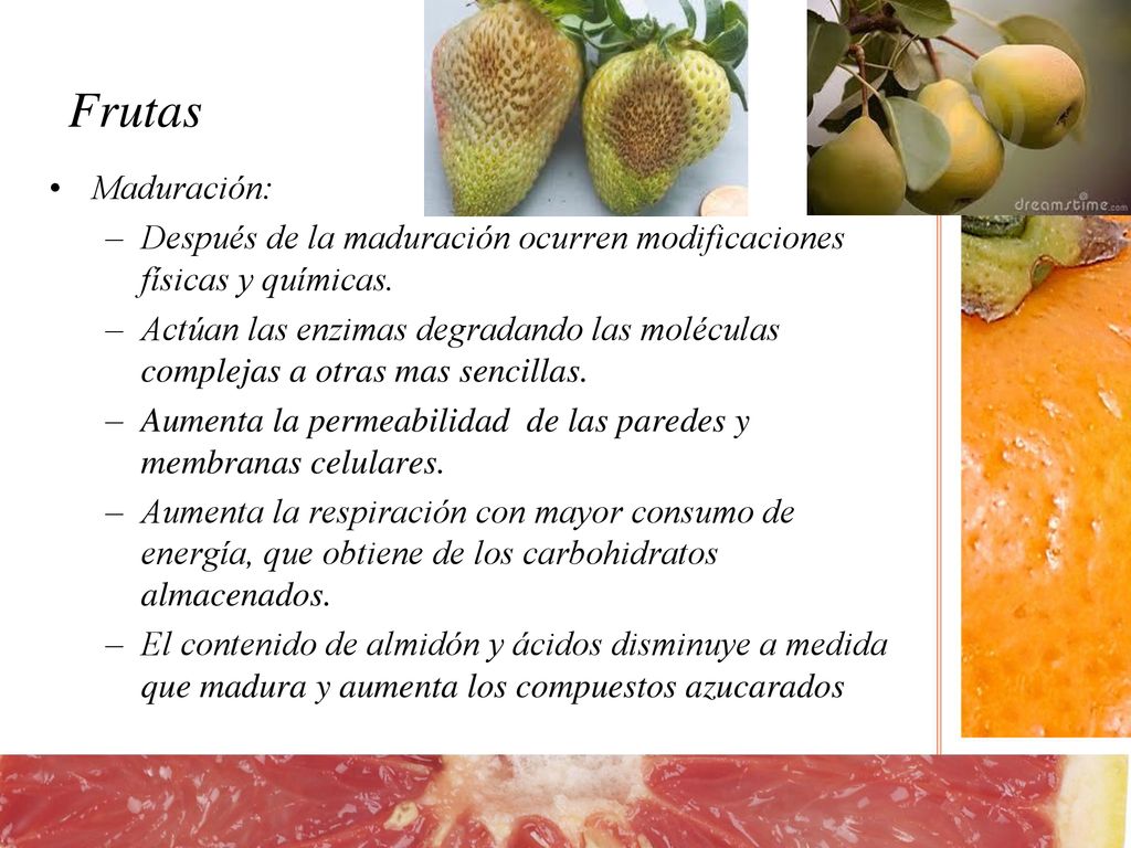 Frutas Maduración: Después de la maduración ocurren modificaciones físicas y químicas.