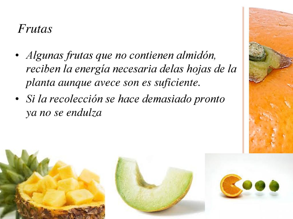 Frutas Algunas frutas que no contienen almidón, reciben la energía necesaria delas hojas de la planta aunque avece son es suficiente.