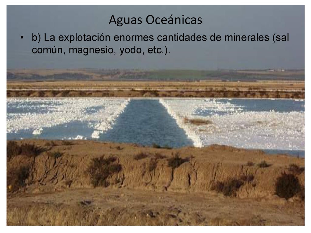 Aguas Oceánicas b) La explotación enormes cantidades de minerales (sal común, magnesio, yodo, etc.).