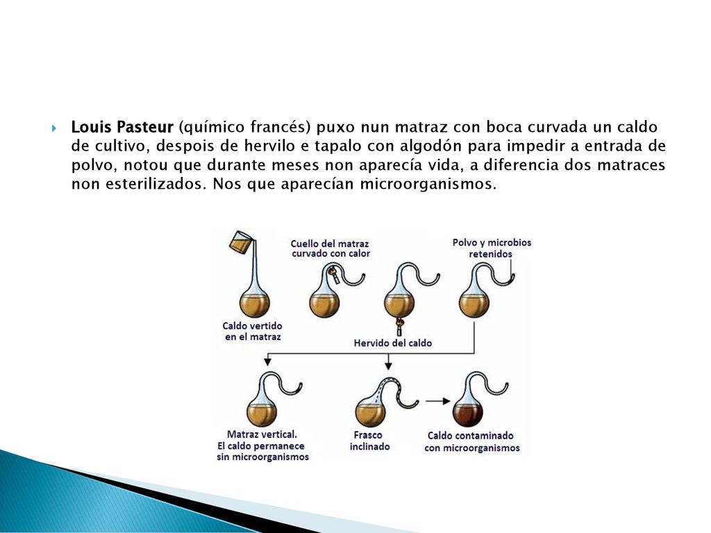 Louis Pasteur (químico francés) puxo nun matraz con boca curvada un caldo de cultivo, despois de hervilo e tapalo con algodón para impedir a entrada de polvo, notou que durante meses non aparecía vida, a diferencia dos matraces non esterilizados.