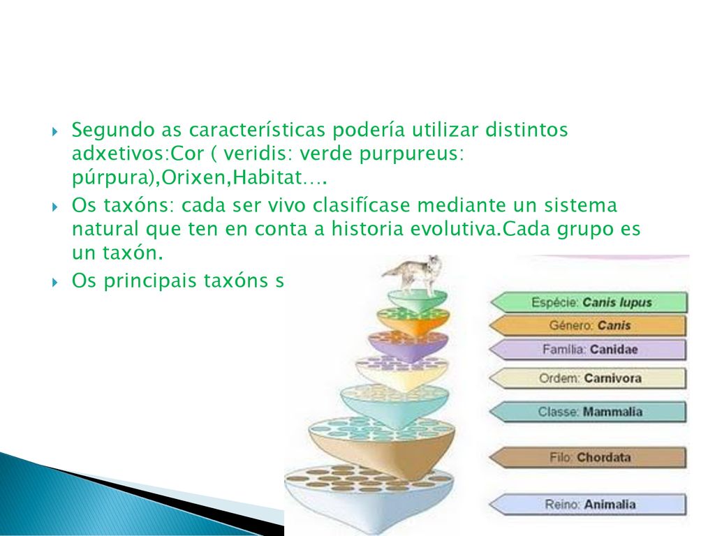 Segundo as características podería utilizar distintos adxetivos:Cor ( veridis: verde purpureus: púrpura),Orixen,Habitat….