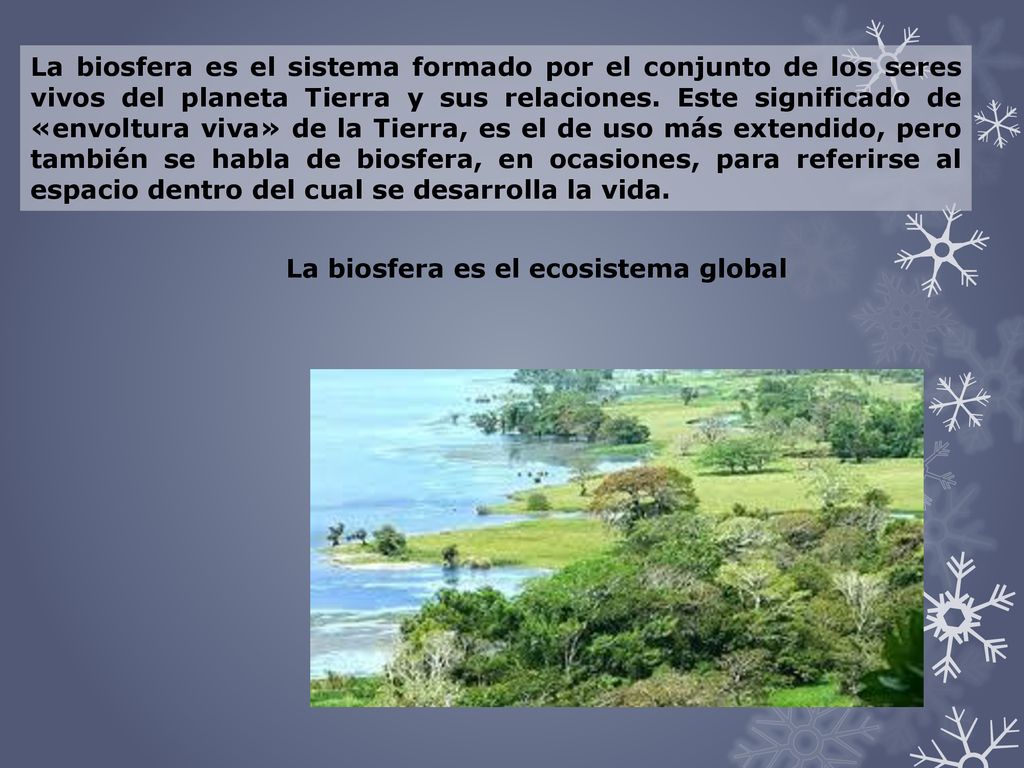 La biosfera es el sistema formado por el conjunto de los seres vivos del planeta Tierra y sus relaciones. Este significado de «envoltura viva» de la Tierra, es el de uso más extendido, pero también se habla de biosfera, en ocasiones, para referirse al espacio dentro del cual se desarrolla la vida.