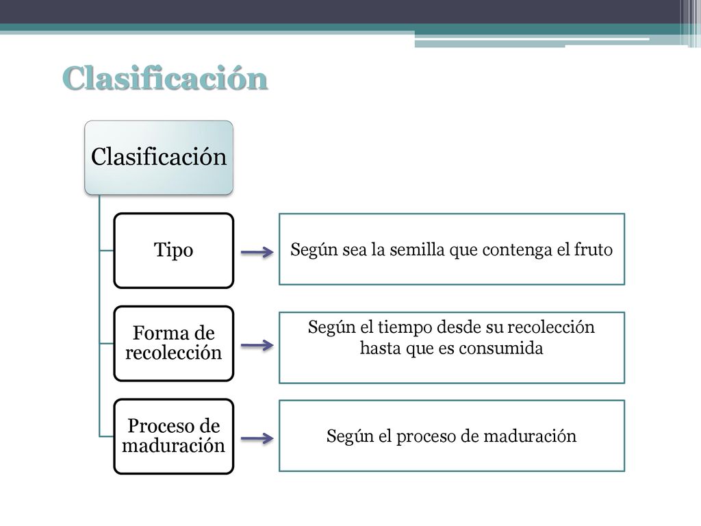 Clasificación Clasificación Tipo Forma de recolección