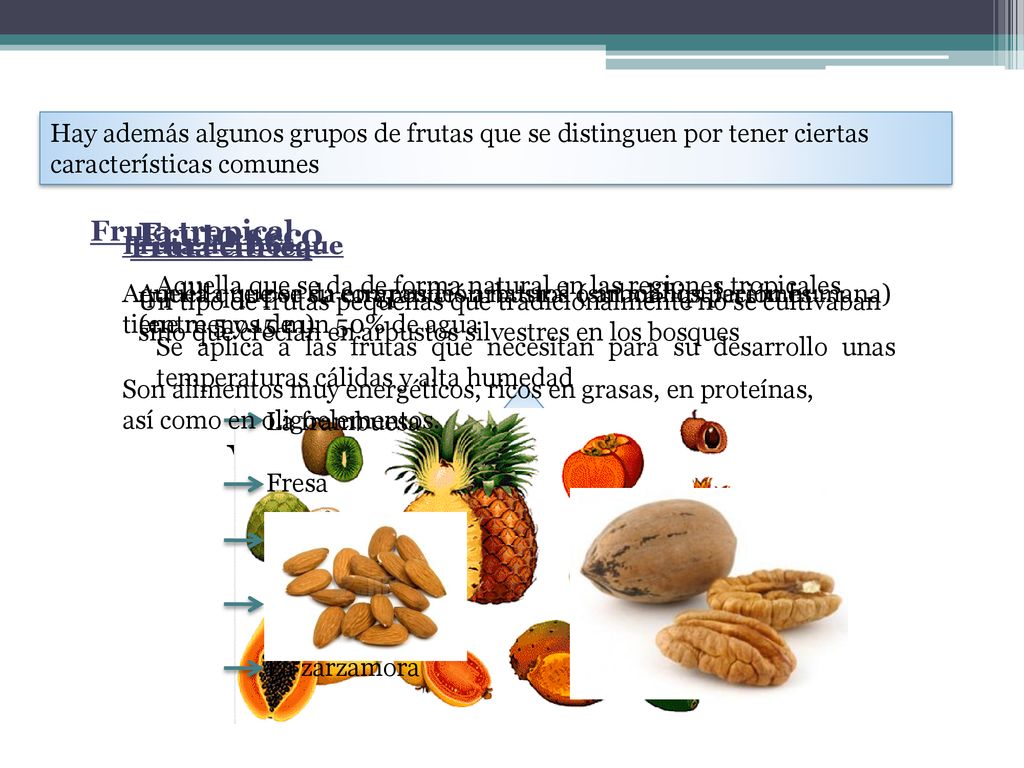 Vitamina C Ácido Cítrico Sabor ácido Fruto seco Fruta tropical