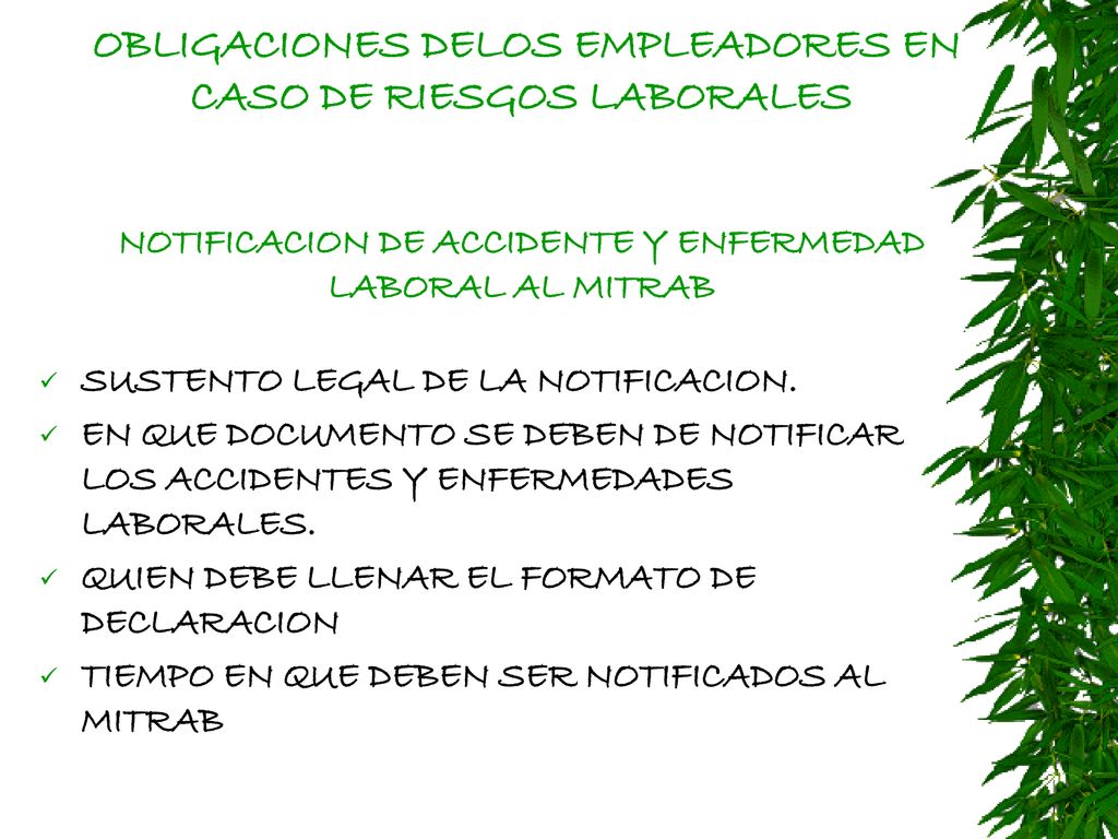OBLIGACIONES DELOS EMPLEADORES EN CASO DE RIESGOS LABORALES NOTIFICACION DE ACCIDENTE Y ENFERMEDAD LABORAL AL MITRAB