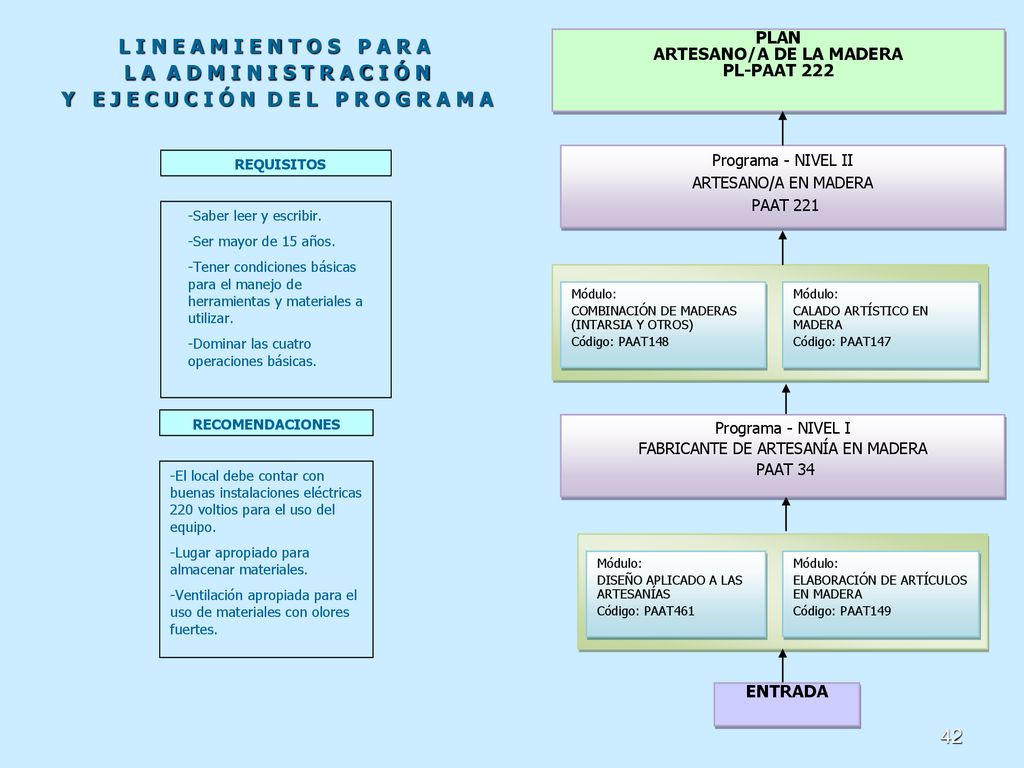 ARTESANO/A DE LA MADERA Y E J E C U C I Ó N D E L P R O G R A M A