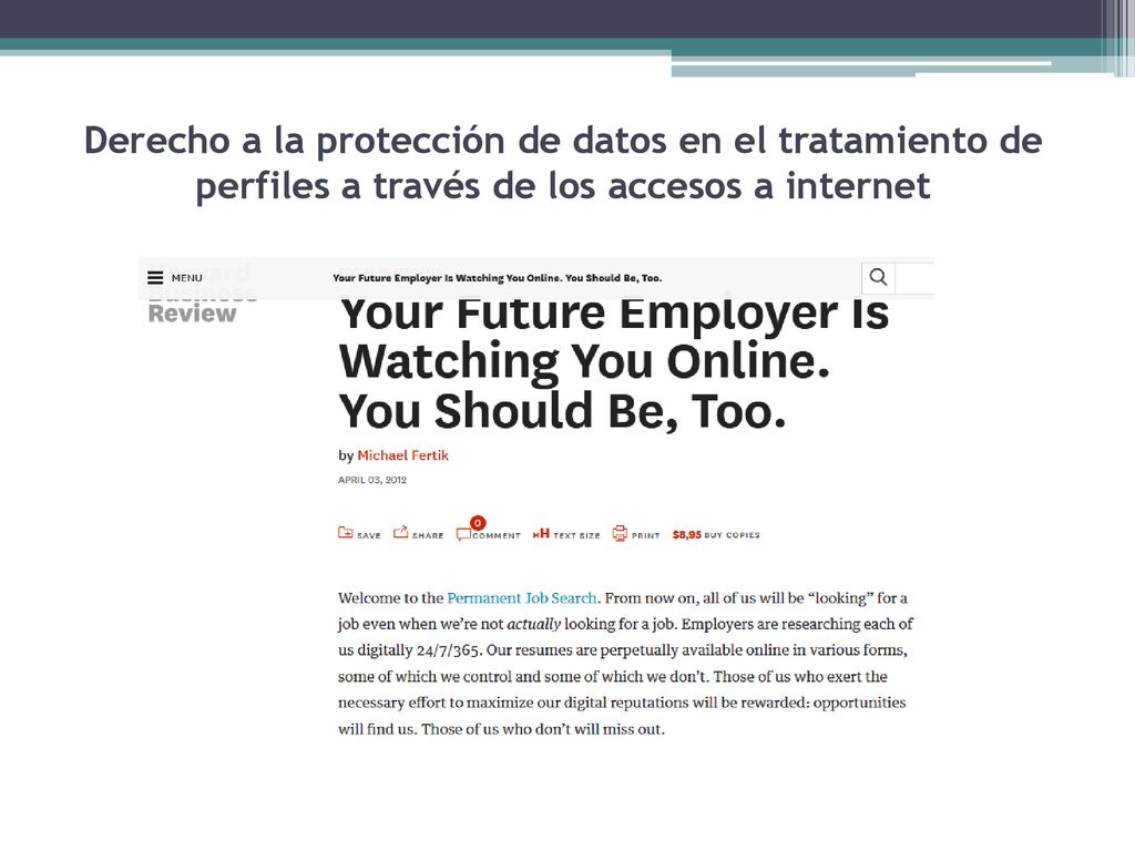 Derecho a la protección de datos en el tratamiento de perfiles a través de los accesos a internet