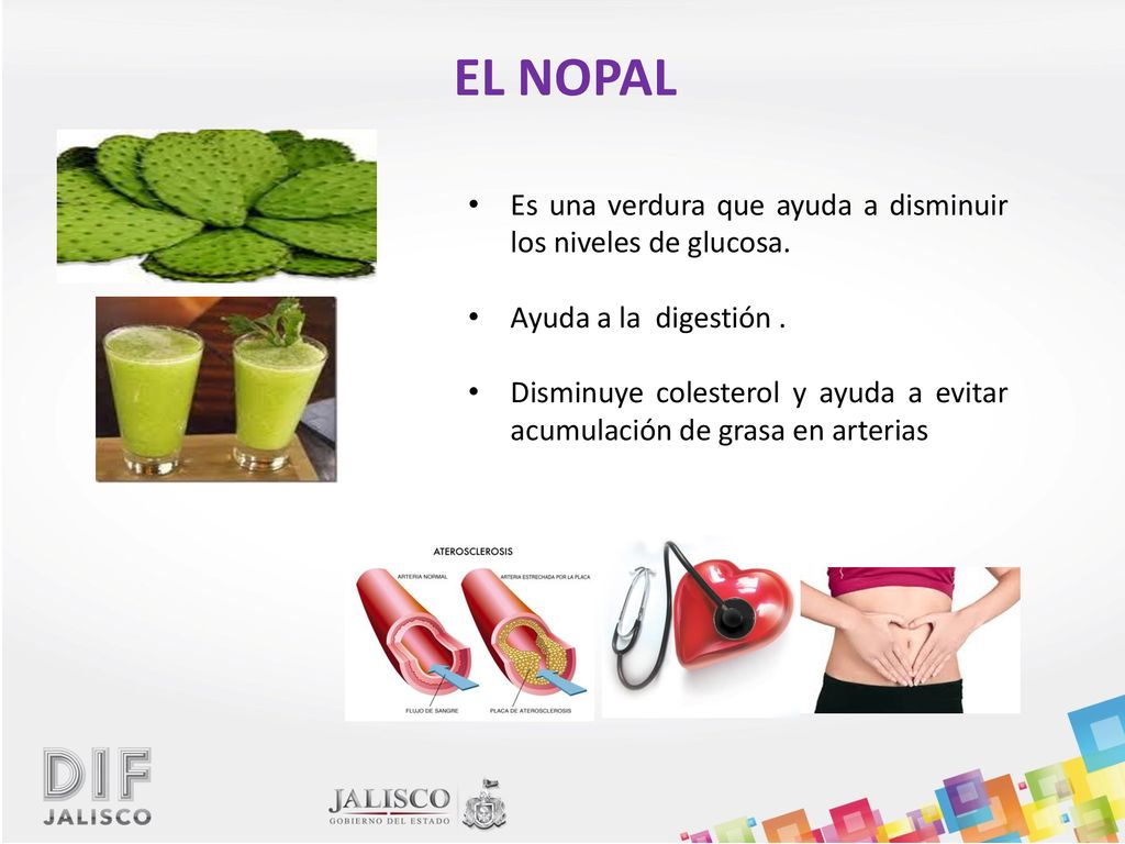 EL NOPAL Es una verdura que ayuda a disminuir los niveles de glucosa.