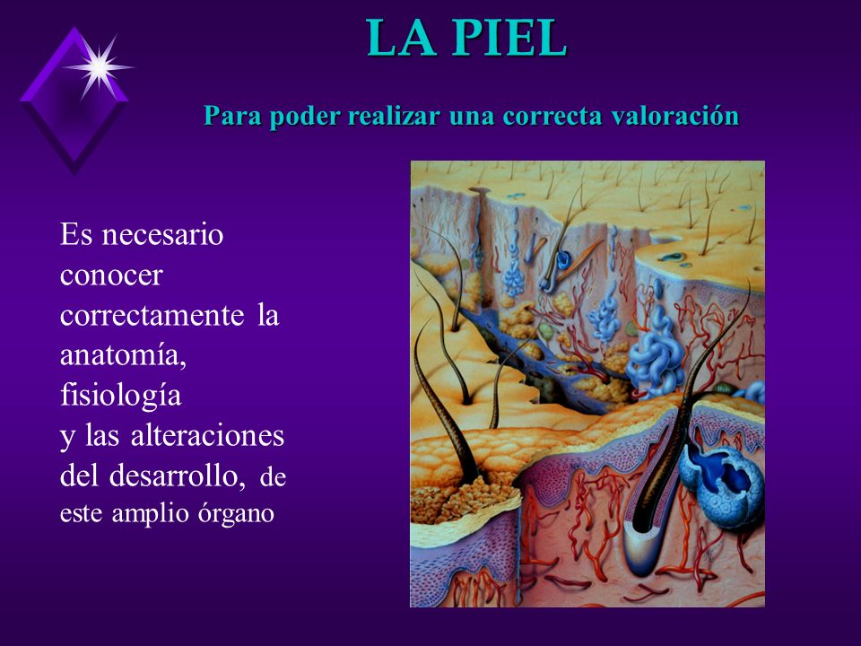 Para poder realizar una correcta valoración