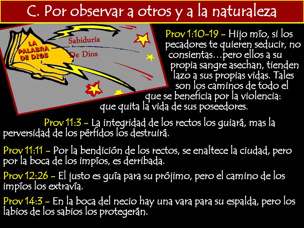 C. Por observar a otros y a la naturaleza