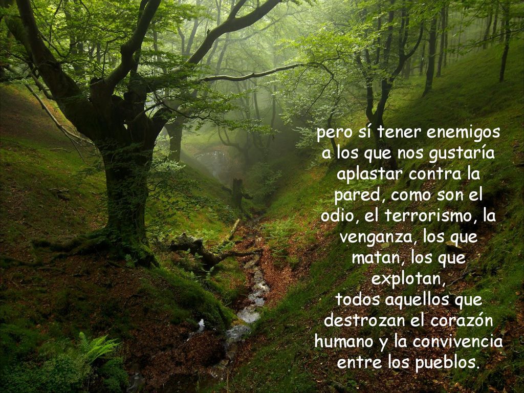pero sí tener enemigos a los que nos gustaría aplastar contra la pared, como son el odio, el terrorismo, la venganza, los que matan, los que explotan,