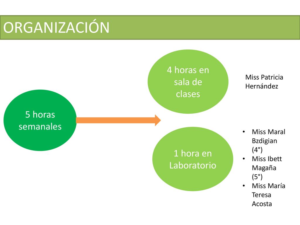 ORGANIZACIÓN 4 horas en sala de clases 5 horas semanales