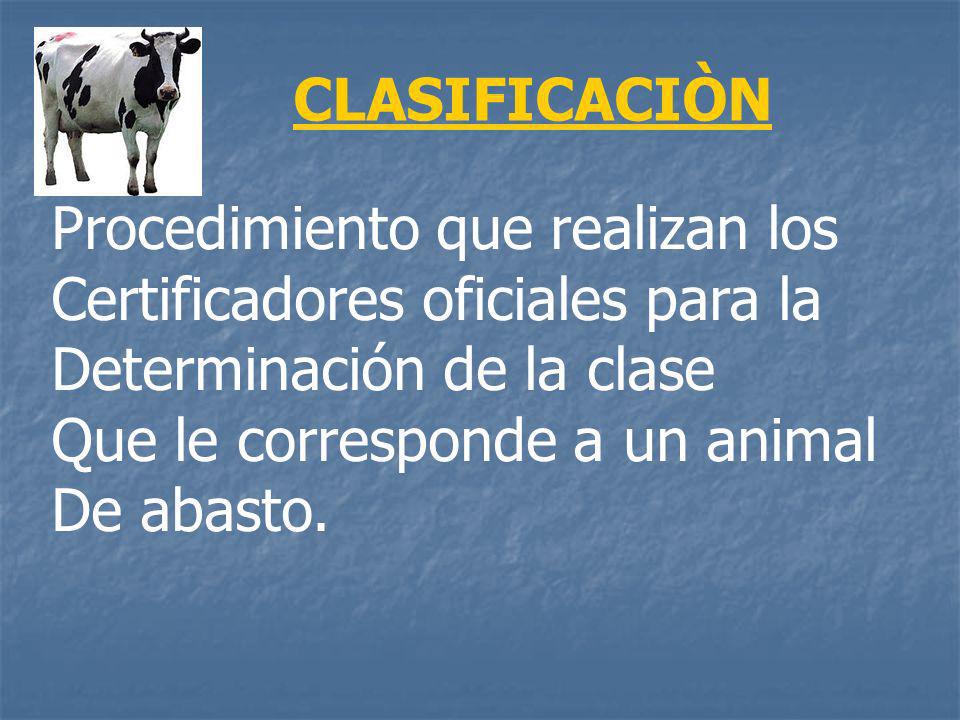 CLASIFICACIÒN Procedimiento que realizan los. Certificadores oficiales para la. Determinación de la clase.