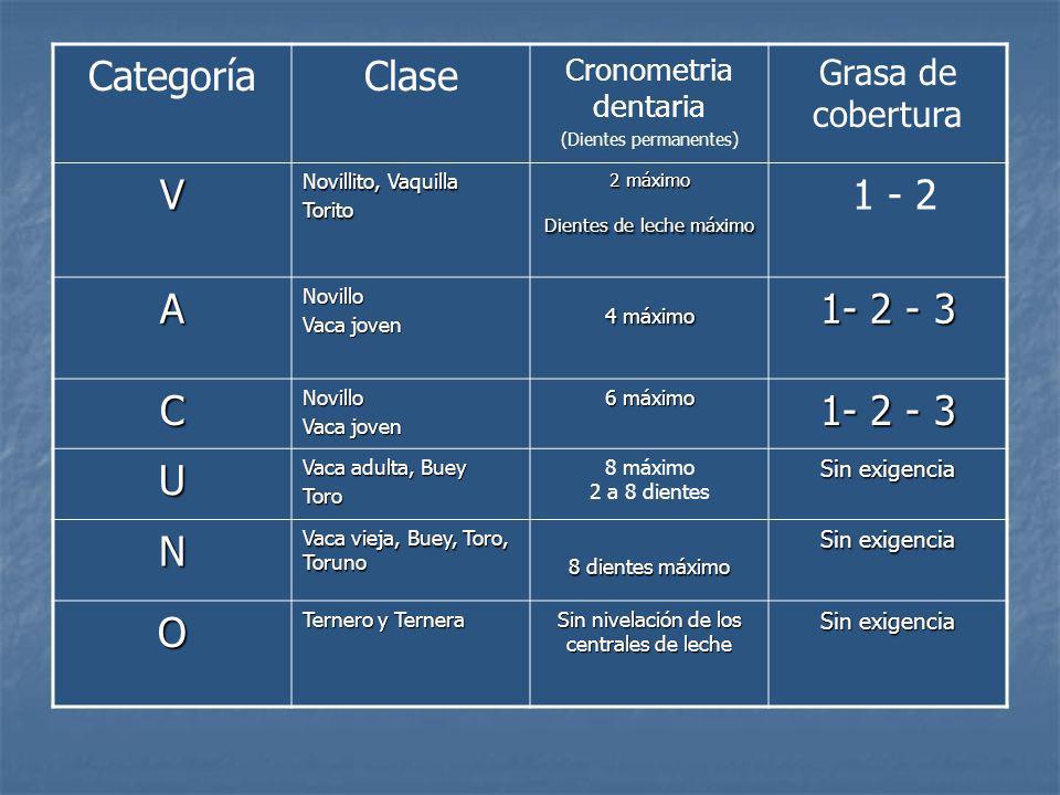 Categoría Clase V A C U N O Grasa de cobertura