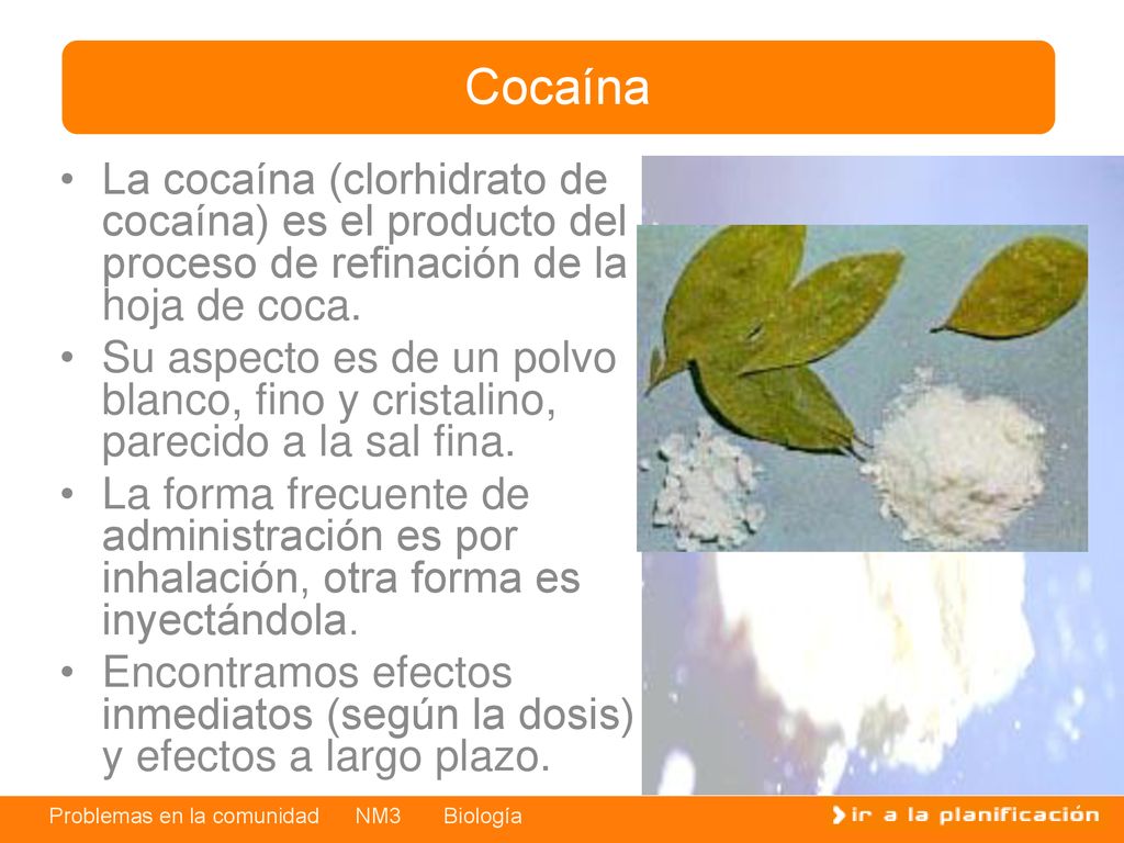 Cocaína La cocaína (clorhidrato de cocaína) es el producto del proceso de refinación de la hoja de coca.