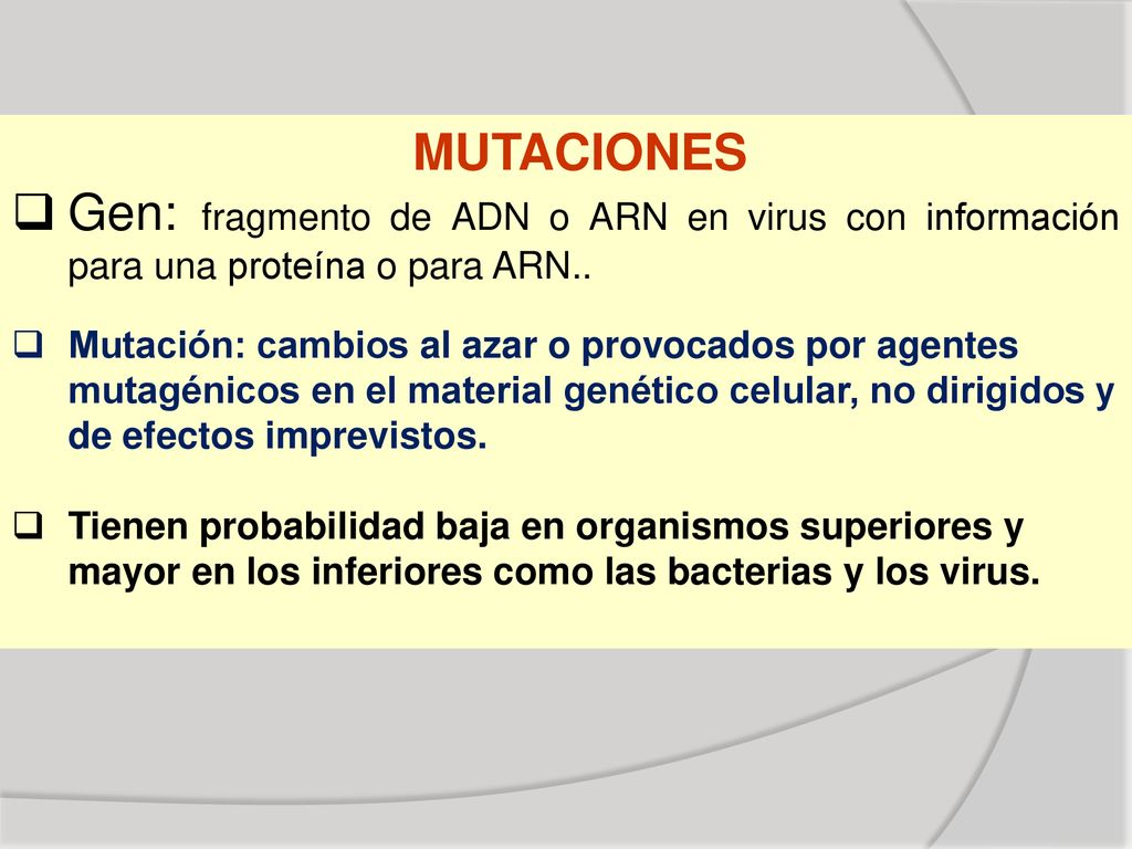 MUTACIONES Gen: fragmento de ADN o ARN en virus con información para una proteína o para ARN..