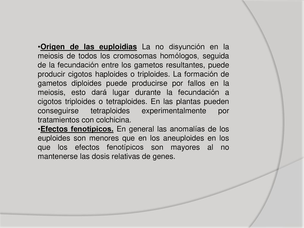 Origen de las euploidias La no disyunción en la meiosis de todos los cromosomas homólogos, seguida de la fecundación entre los gametos resultantes, puede producir cigotos haploides o triploides. La formación de gametos diploides puede producirse por fallos en la meiosis, esto dará lugar durante la fecundación a cigotos triploides o tetraploides. En las plantas pueden conseguirse tetraploides experimentalmente por tratamientos con colchicina.
