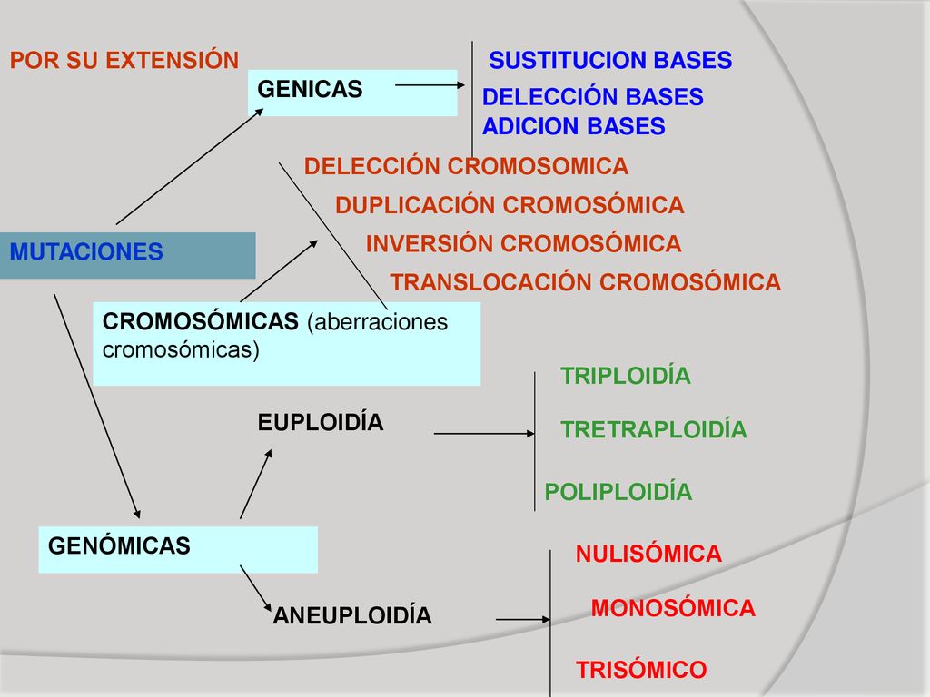 POR SU EXTENSIÓN SUSTITUCION BASES. GENICAS. DELECCIÓN BASES. ADICION BASES. DELECCIÓN CROMOSOMICA.