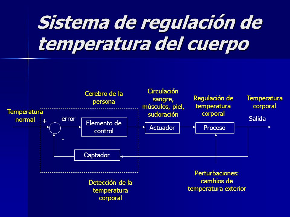 Sistema de regulación de temperatura del cuerpo