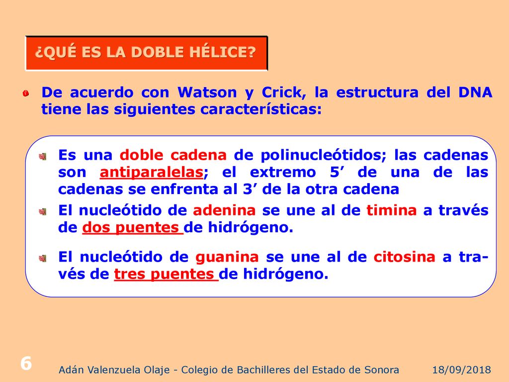 Adán Valenzuela Olaje - Colegio de Bachilleres del Estado de Sonora