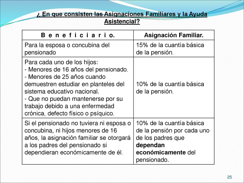 ¿ En que consisten las Asignaciones Familiares y la Ayuda Asistencial