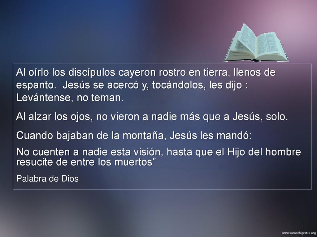 Al alzar los ojos, no vieron a nadie más que a Jesús, solo.