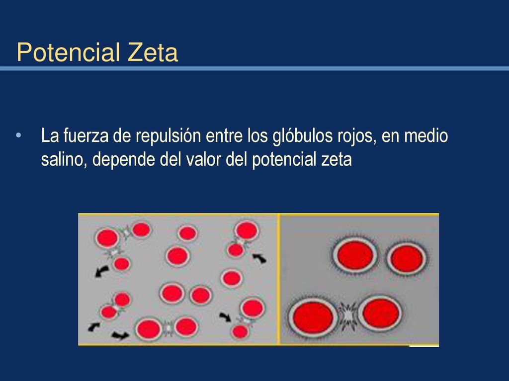 Potencial Zeta La fuerza de repulsión entre los glóbulos rojos, en medio salino, depende del valor del potencial zeta.