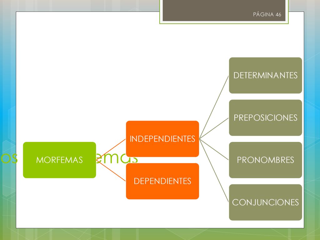 Tipos de morfemas MORFEMAS INDEPENDIENTES DETERMINANTES PREPOSICIONES