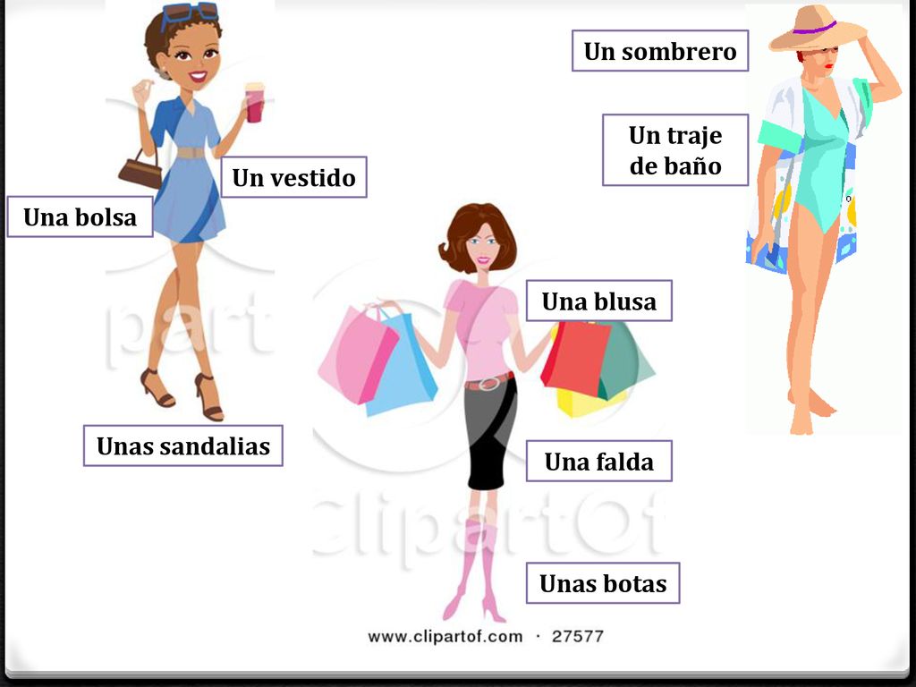 Un sombrero Un traje de baño Un vestido Una bolsa Una blusa Unas sandalias Una falda Unas botas