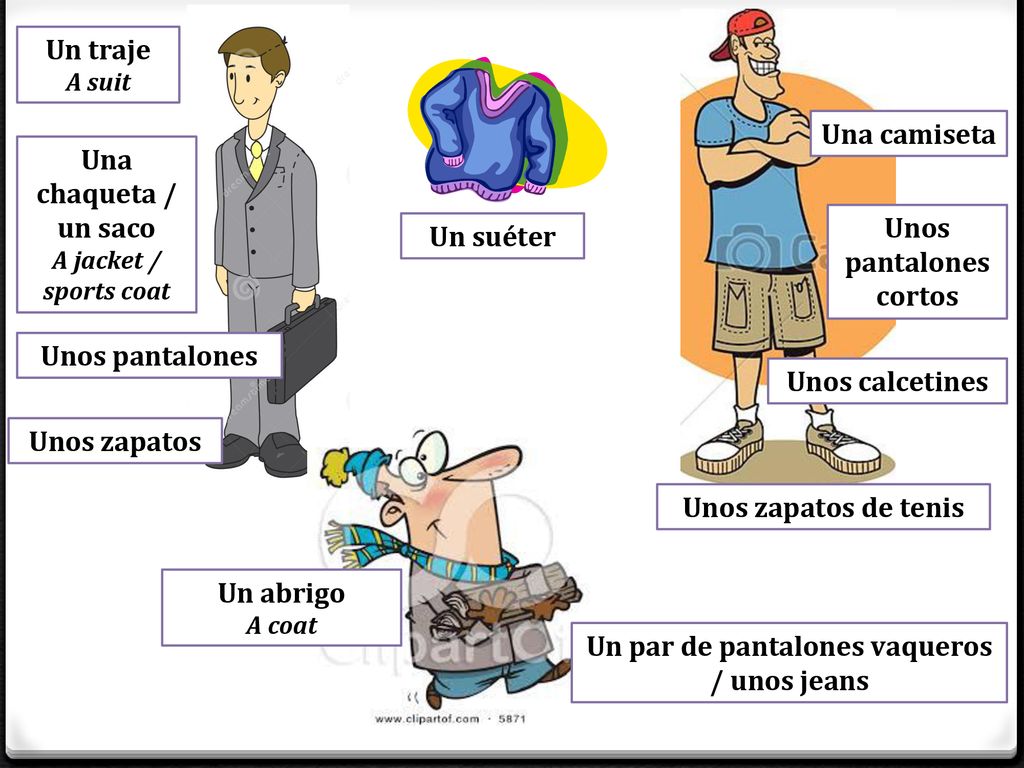 Unos pantalones cortos Un par de pantalones vaqueros / unos jeans