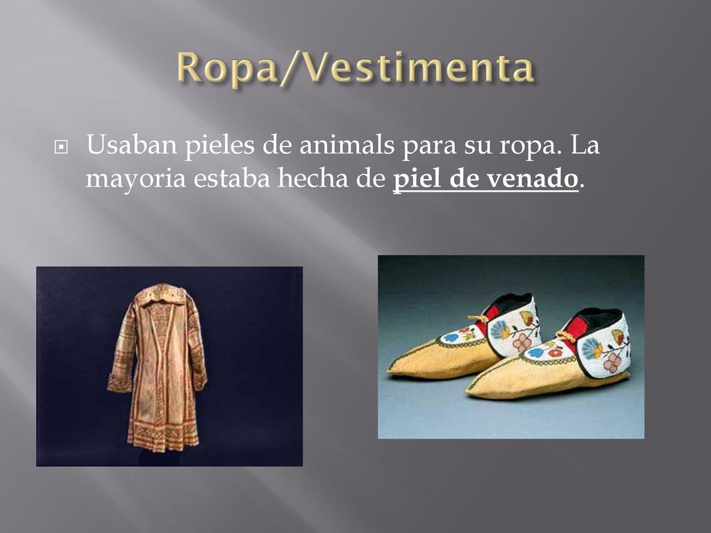 Ropa/Vestimenta Usaban pieles de animals para su ropa. La mayoria estaba hecha de piel de venado.