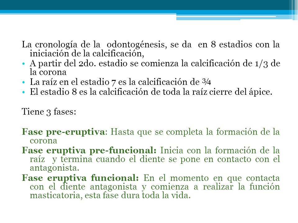 La cronología de la odontogénesis, se da en 8 estadios con la iniciación de la calcificación,