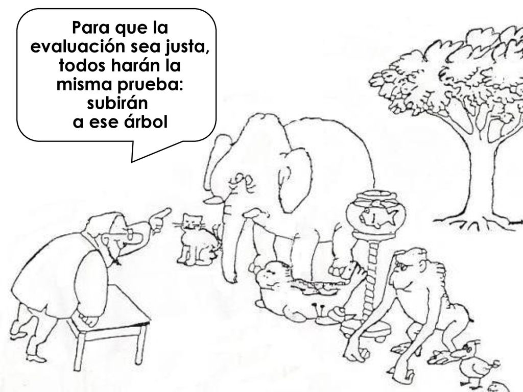 Para que la evaluación sea justa, todos harán la misma prueba: subirán a ese árbol
