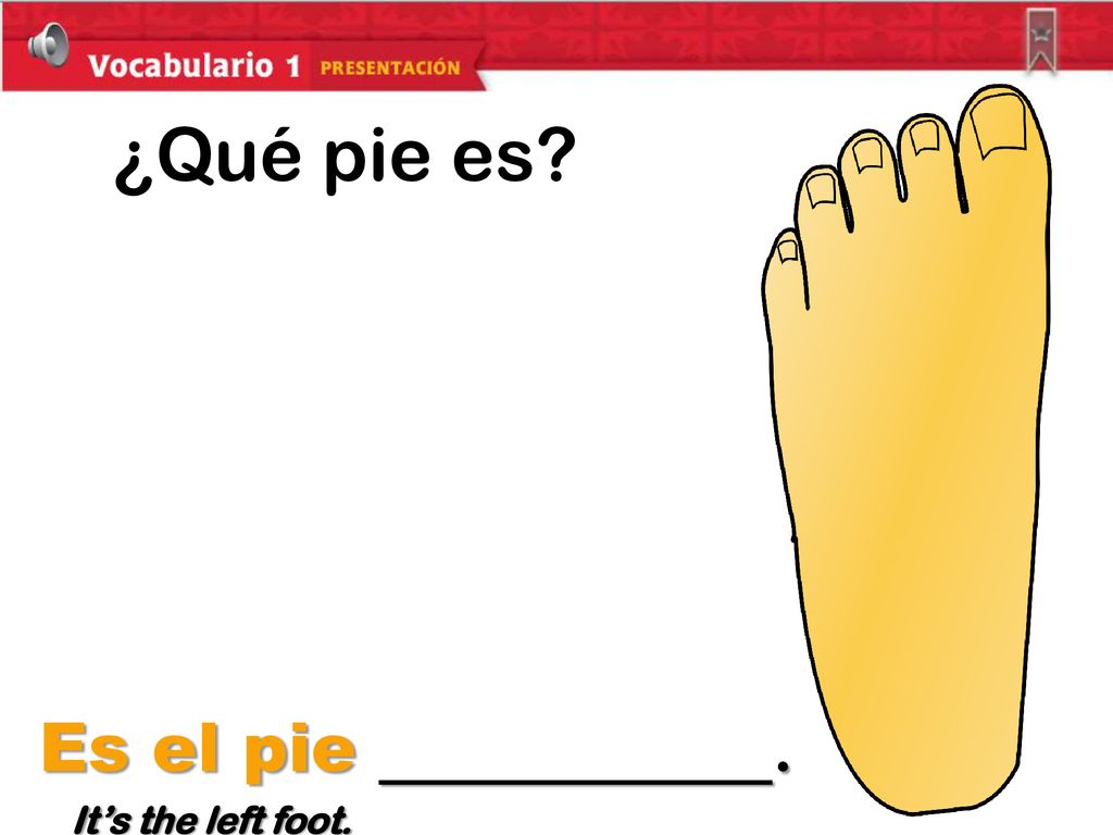 ¿Qué pie es Es el pie . It’s the left foot.