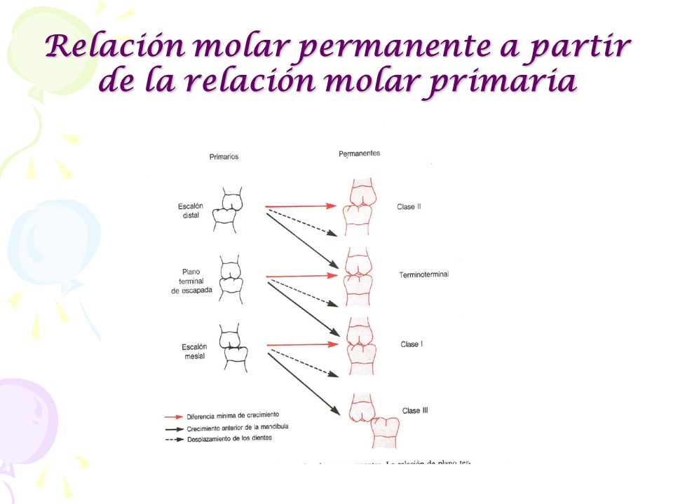 Relación molar permanente a partir de la relación molar primaria