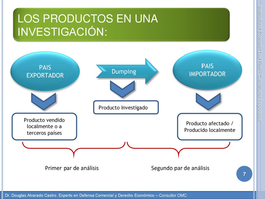 LOS PRODUCTOS EN UNA INVESTIGACIÓN: