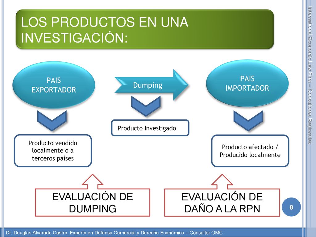 LOS PRODUCTOS EN UNA INVESTIGACIÓN: