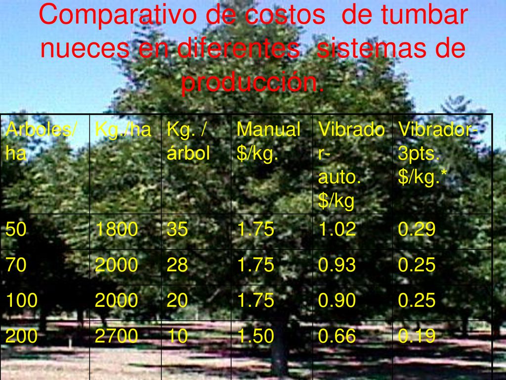 Comparativo de costos de tumbar nueces en diferentes sistemas de producción.