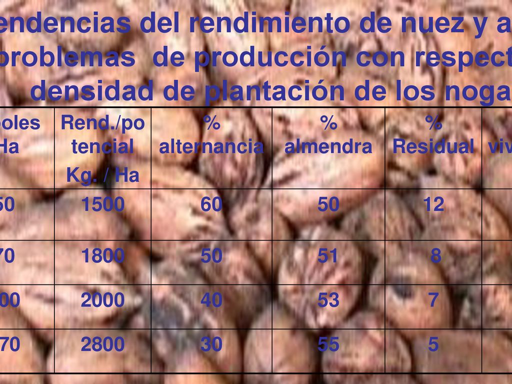 Tendencias del rendimiento de nuez y algunos problemas de producción con respecto a la densidad de plantación de los nogales