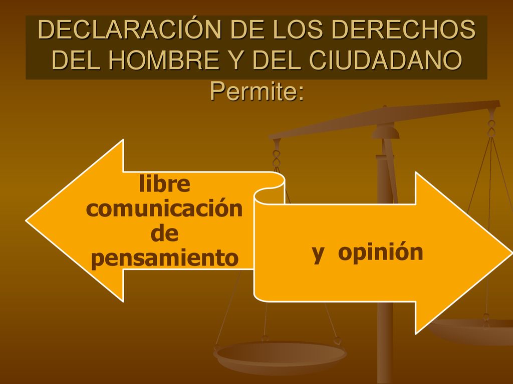 DECLARACIÓN DE LOS DERECHOS DEL HOMBRE Y DEL CIUDADANO Permite:
