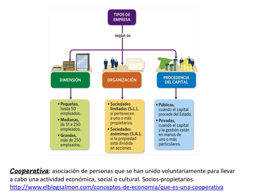 Cooperativa: asociación de personas que se han unido voluntariamente para llevar a cabo una actividad económica, social o cultural. Socios-propietarios.