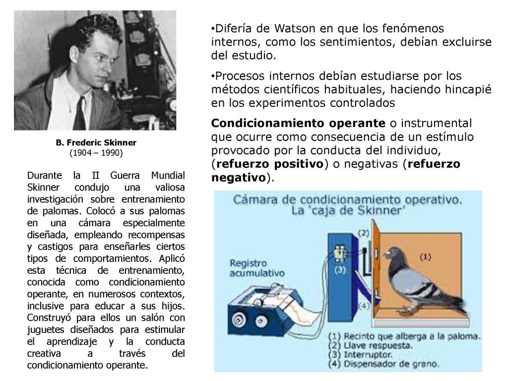 B. Frederic Skinner (1904 – 1990) Difería de Watson en que los fenómenos internos, como los sentimientos, debían excluirse del estudio.