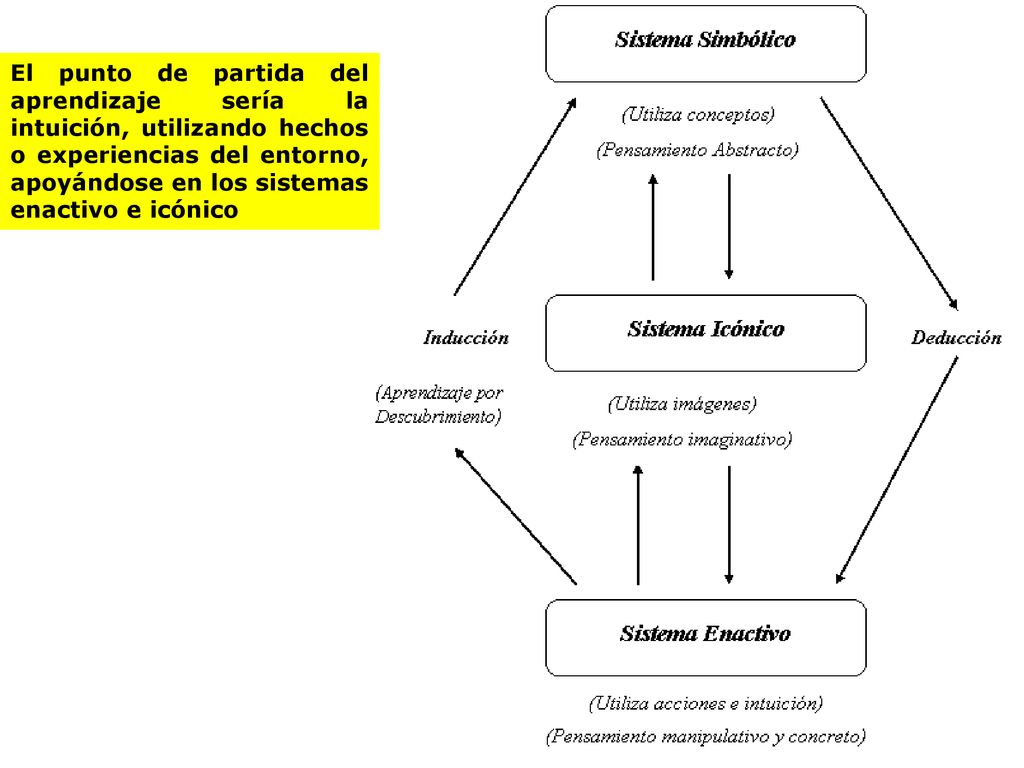 El punto de partida del aprendizaje sería la intuición, utilizando hechos o experiencias del entorno, apoyándose en los sistemas enactivo e icónico