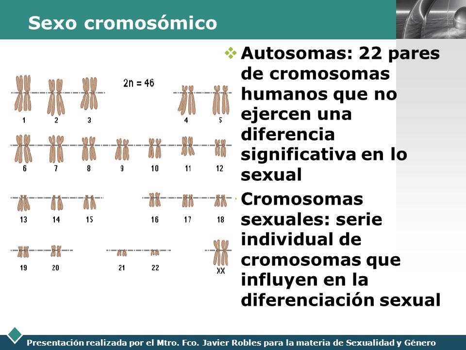 Sexo cromosómico Autosomas: 22 pares de cromosomas humanos que no ejercen una diferencia significativa en lo sexual.