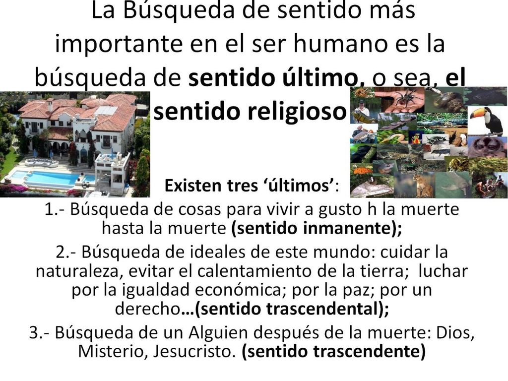 La Búsqueda de sentido más importante en el ser humano es la búsqueda de sentido último, o sea, el sentido religioso