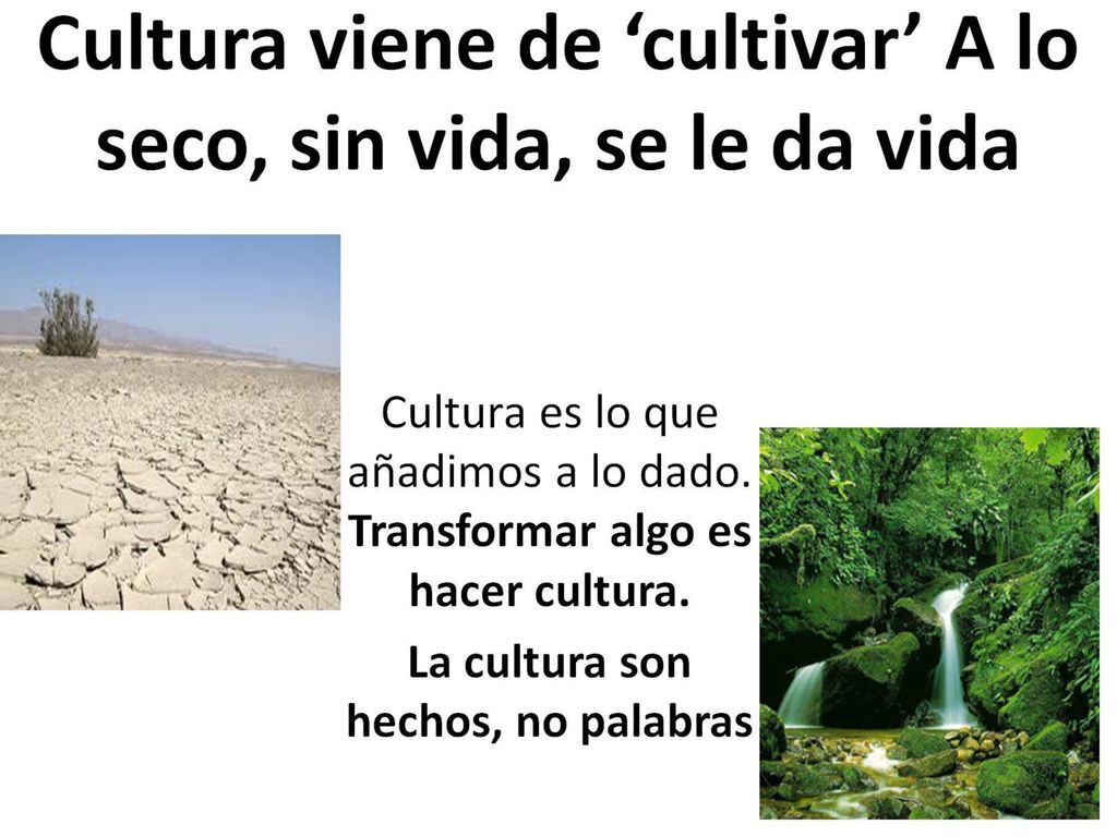 Cultura viene de ‘cultivar’ A lo seco, sin vida, se le da vida