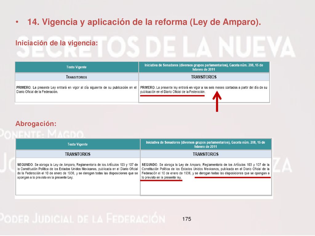 14. Vigencia y aplicación de la reforma (Ley de Amparo).