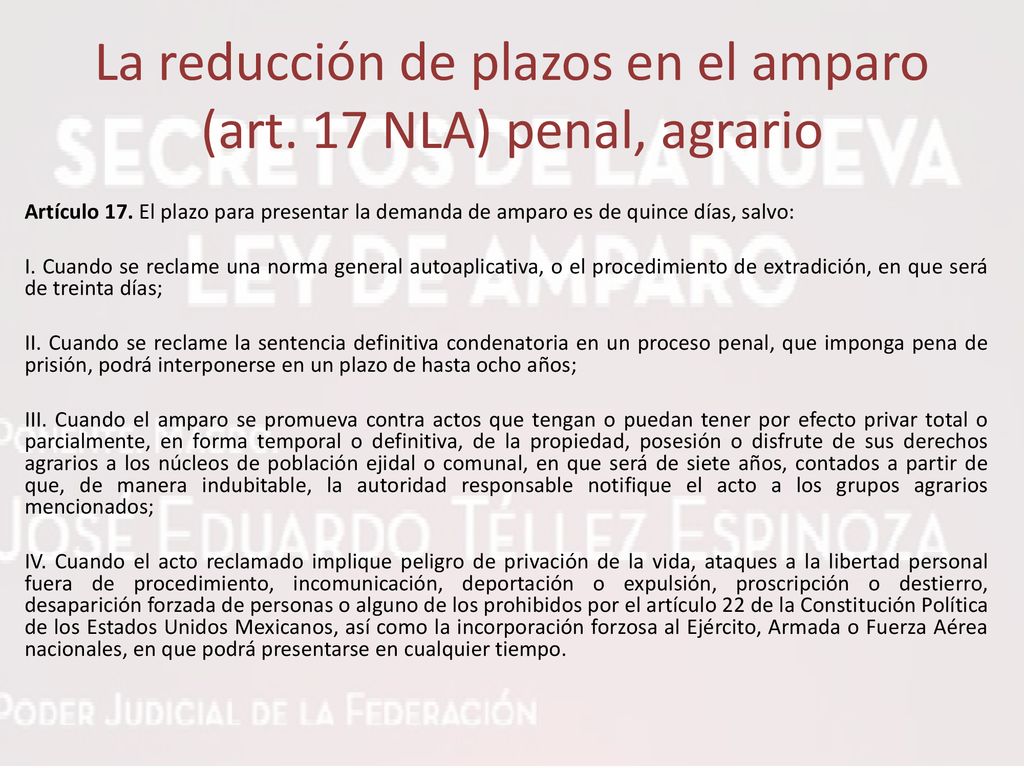 La reducción de plazos en el amparo (art. 17 NLA) penal, agrario